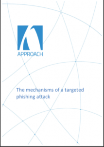 This white paper describes in depth the mechanism of such an attack, and the measures taken by a hacker to cover his tracks.